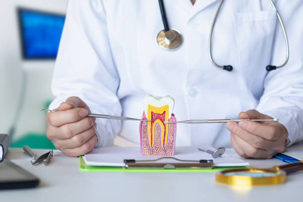 Best Cosmetic Emergency Dentistry in Lookout Mountain, AL